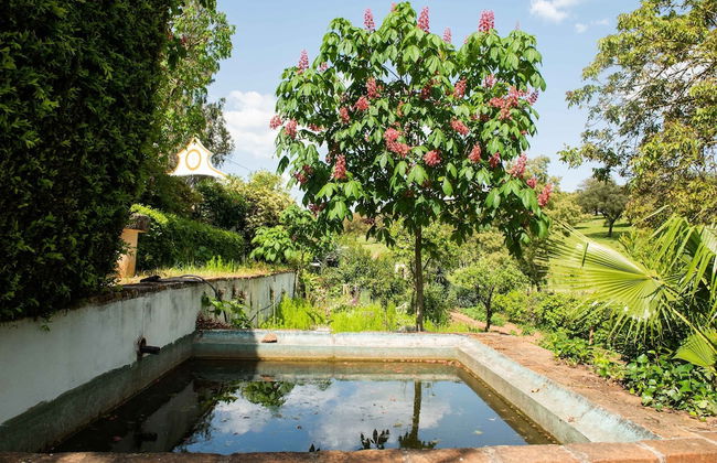 Country Mansion in Montemor-o-novo Alentejo - Foto 26