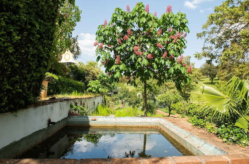 Photo 26 - Country Mansion in Montemor-o-novo Alentejo