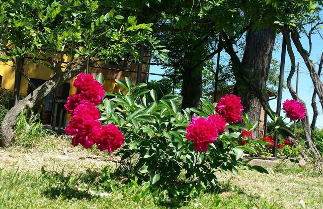 Fondo Giardinetto - Foto 33