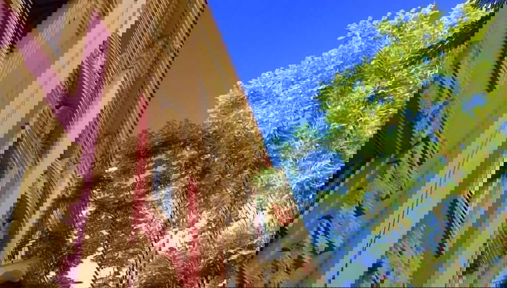 Image principale