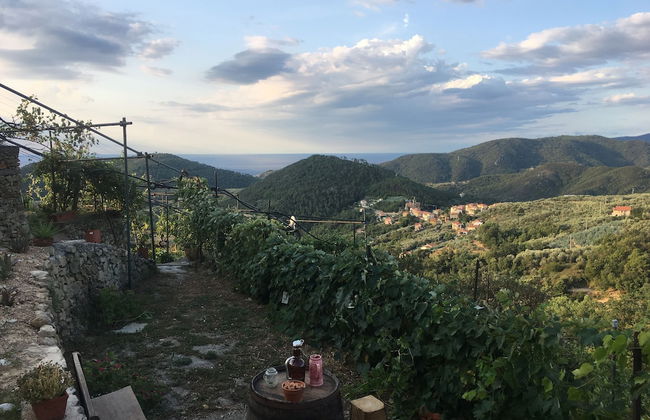Agriturismo LaValleggia - Foto 70