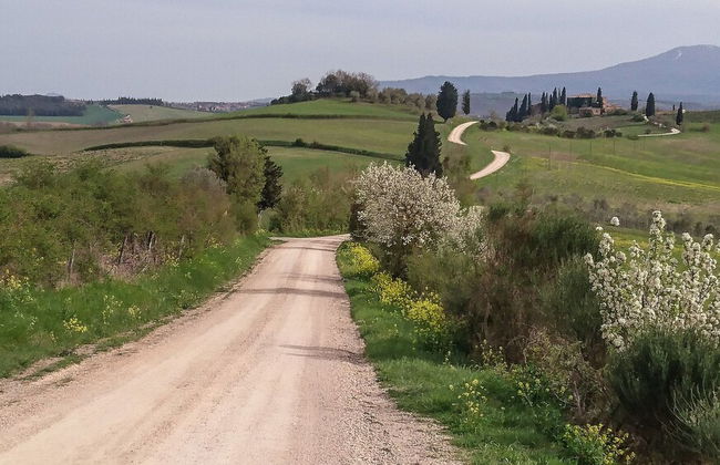 Agriturismo Monsole - Foto 19