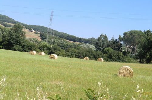 Photo 23 - Agriturismo Cavallin del Bufalo