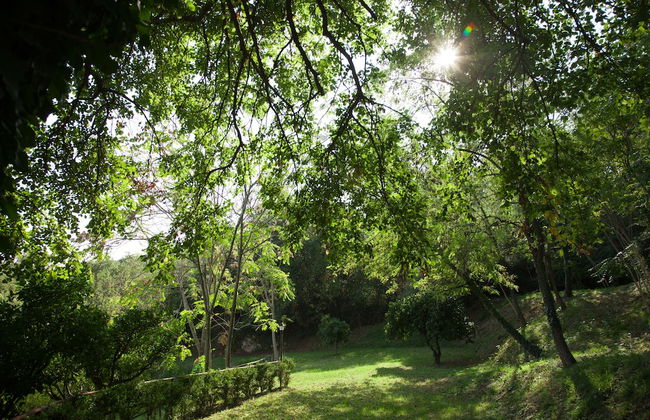 Agriturismo La Vecchia Quercia - Foto 61