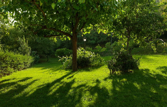 Agriturismo La Vecchia Quercia - Foto 59