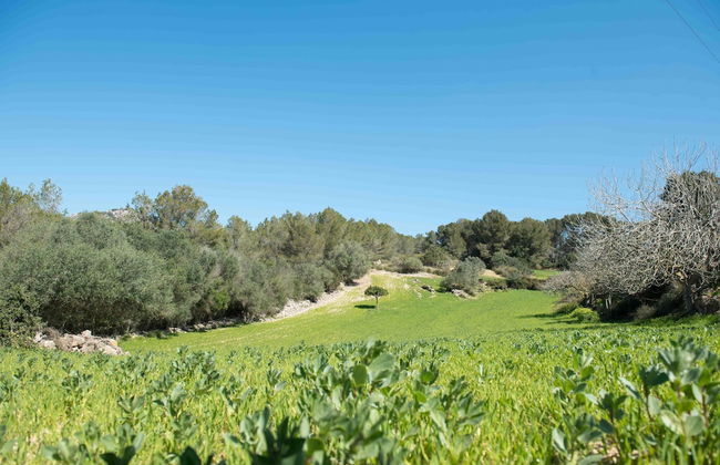 Agroturisme Perola - Adults Only - Photo 29