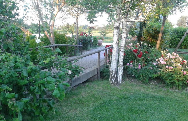 Fattoria Belvedere - Foto 27