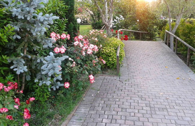 Fattoria Belvedere - Foto 32