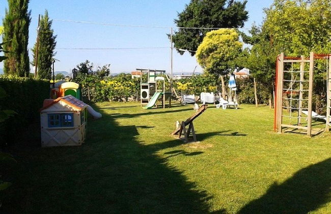 Fattoria Belvedere - Foto 18