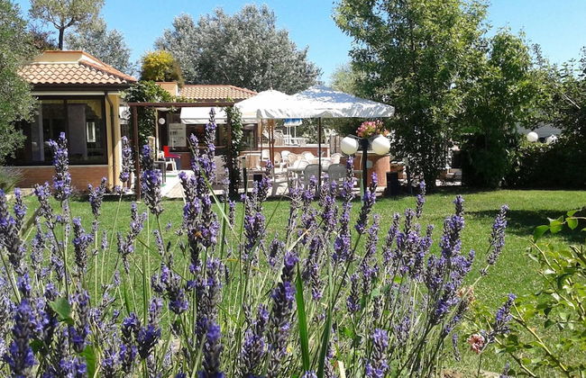 Fattoria Belvedere - Foto 31