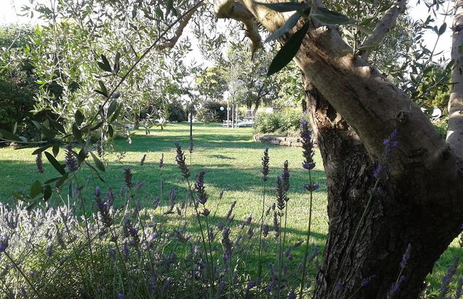 Fattoria Belvedere - Foto 29