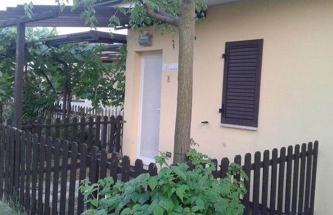 Fattoria Belvedere - Foto 24