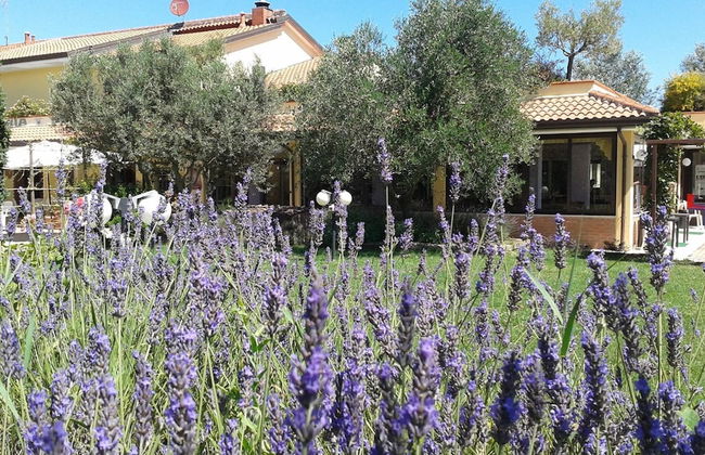 Fattoria Belvedere - Foto 37