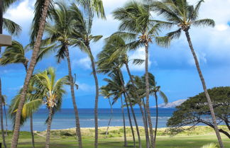 Photo 1 - Kauhale Makai - Maui Condo & Home