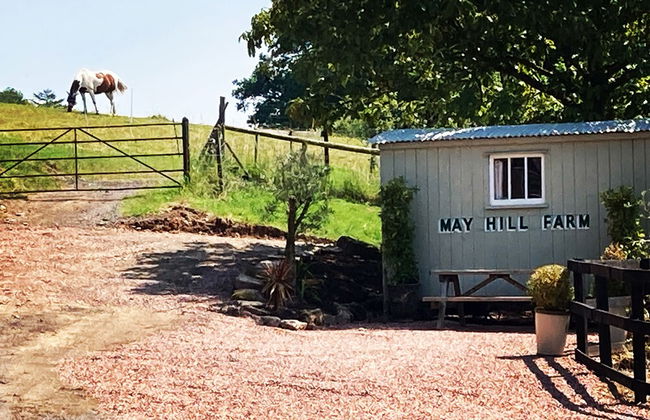 Outstandingly Situated Cosy Shepherds Hut - Foto 23