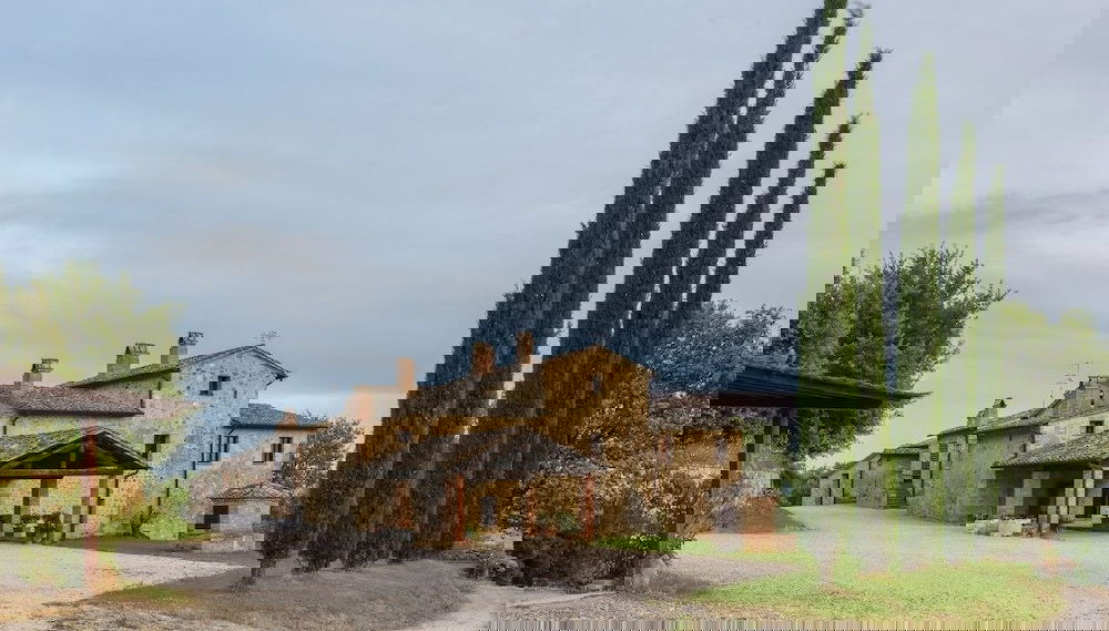 Primary image