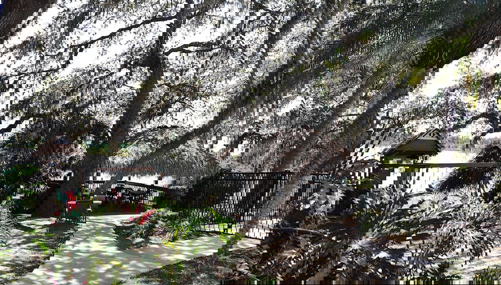 Imagem principal