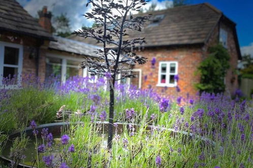 Photo 33 - Luxury Accom. With Pool Henbury, Macclesfield