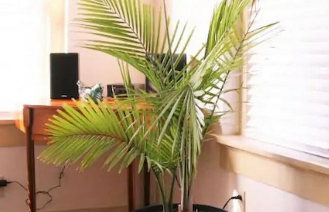 Evie's apartment - Foto 57