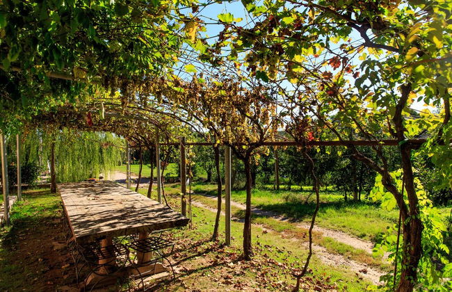 Agriturismo La Molinalda - Foto 51