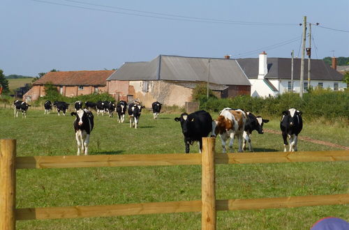 Photo 10 - Courtbrook Farm