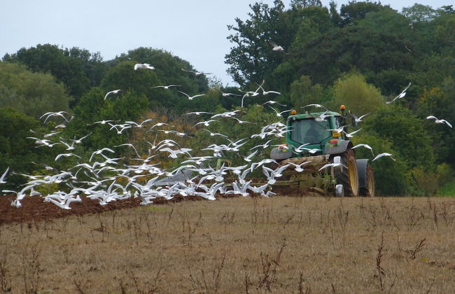 Courtbrook Farm - Foto 10