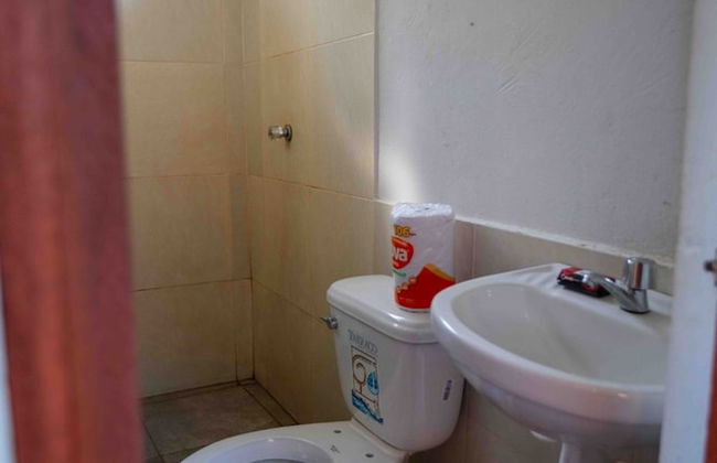 La Casa del Ayahuasca - Luz del Amazonas - Photo 7