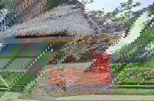 Foto 9 - La Casa del Ayahuasca - Luz del Amazonas