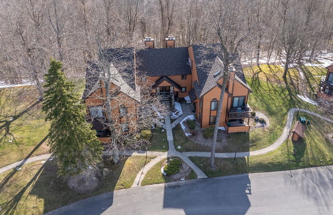 Swiss Mountain 1 Bedroom - Premier Unit with Patio by RedAwning - Photo 26