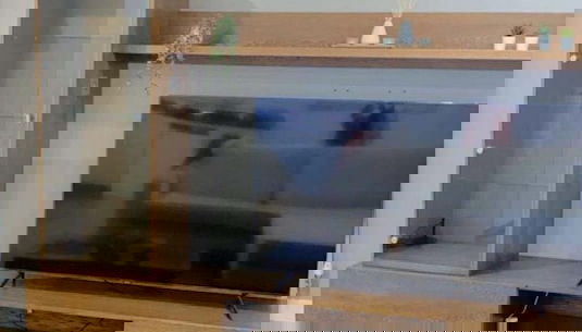 Televisione