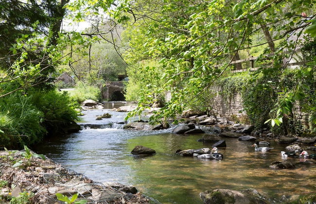 Watermill Cottages - Photo 19