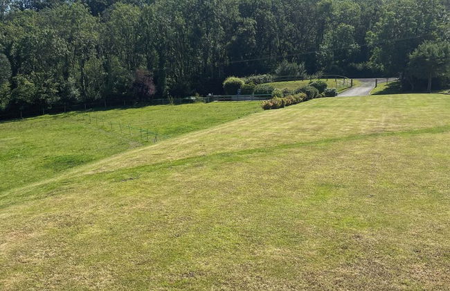 Private Chalet in New Quay With Stunning Views - Foto 15