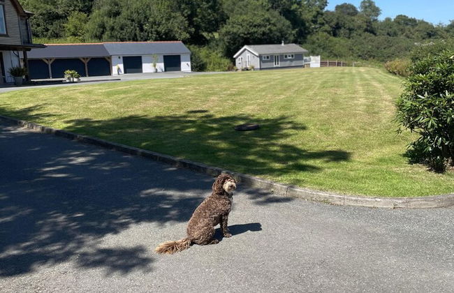 Private Chalet in New Quay With Stunning Views - Foto 33