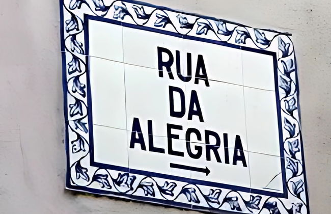 Alegria 79 - Foto 26