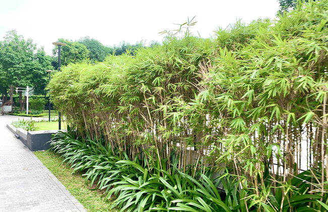 HKG-Vinhomes Green Bay Luxury-Private - Photo 40