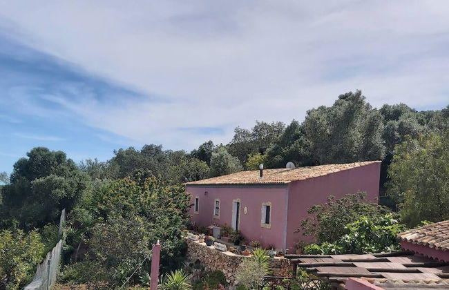 Bela Vista House - Quinta Amoreira - Foto 12
