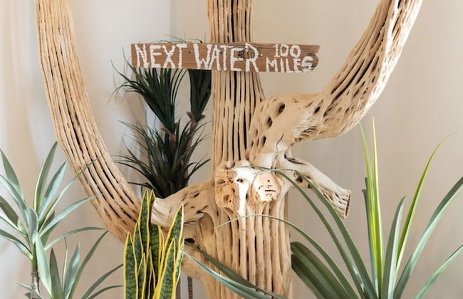 The Casa Del Sol Experience - Old Town Villa - Photo 9
