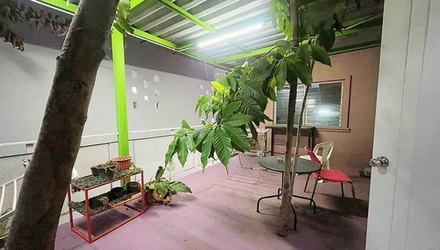 Sunshine Apartment - Foto 2