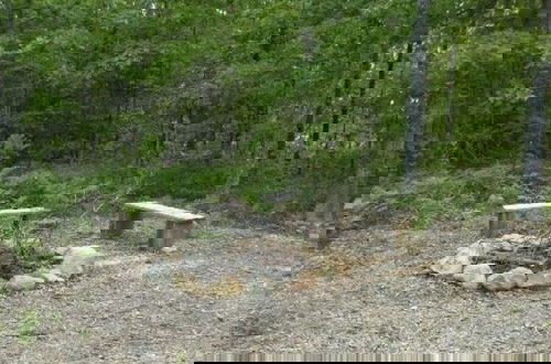 Foto 18 - Romantic, pet friendly cabin with private hot tub, washer/dryer and full kitchen Studio Cabin by RedAwning
