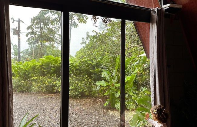 Yarumo Lodge Río Celeste Black Chalets - Foto 19