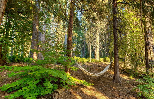 A-frame Retreat by Avantstay Modern Interiors 2 Decks Views - Foto 37