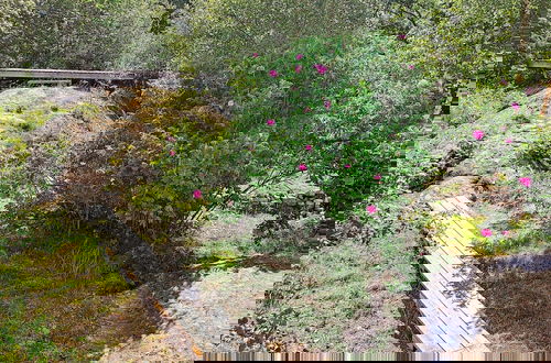 Photo 26 - 8 Person Holiday Home in Ellos