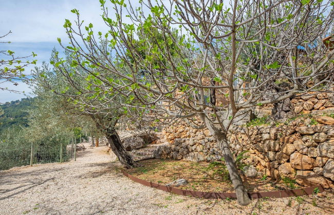 Els Abats - Villa With Private Pool In Fornalutx - Foto 35
