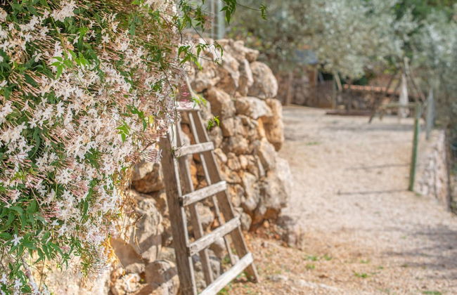 Els Abats - Villa With Private Pool In Fornalutx - Foto 39