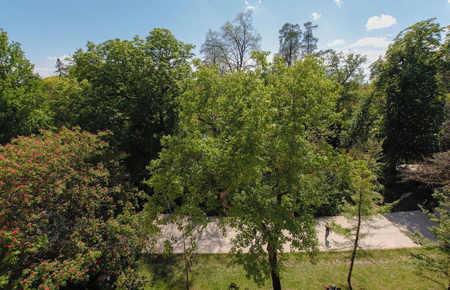 Maison Labruyère - Photo 4