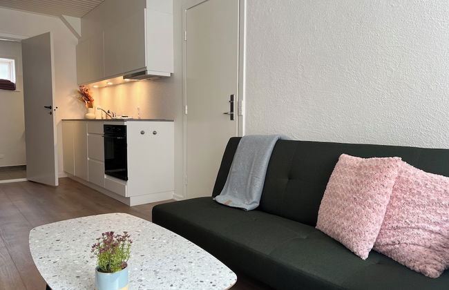 Cozy Flats Silkeborg - S1 - Foto 5