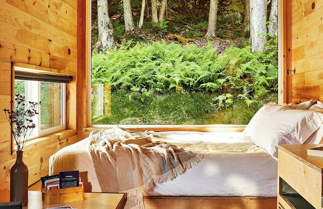 Postcard Cabins Blake Brook, Outdoor Collection by Marriott Bonvoy - Foto 14