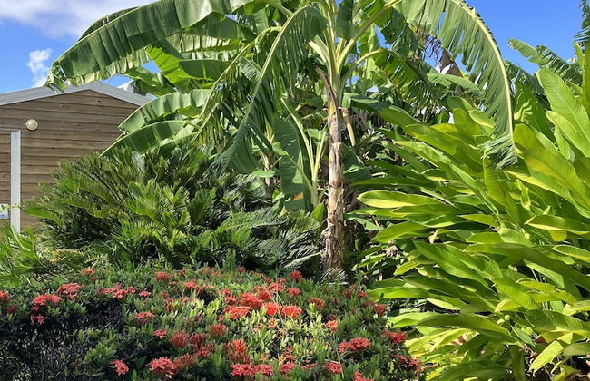 Gite Ty Koko Gadeloupe - Foto 72