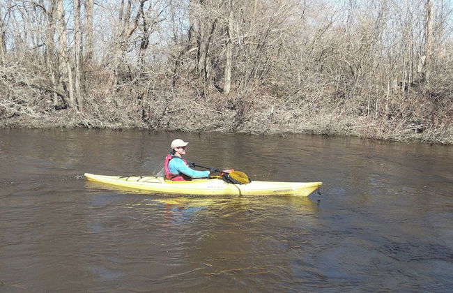 17463 County Rd 18 - Foto 36