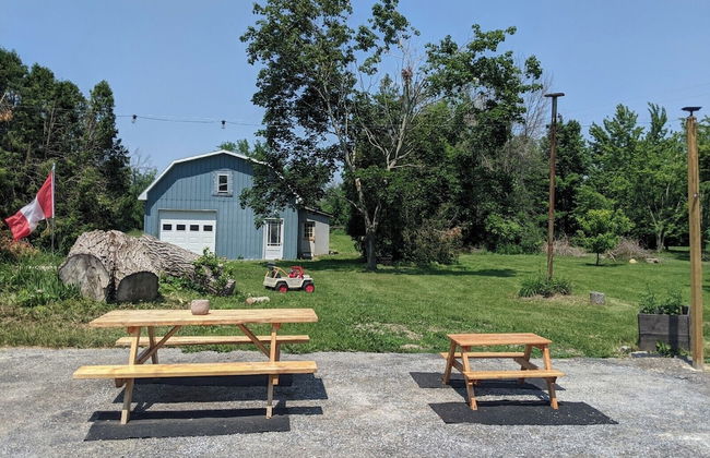 17463 County Rd 18 - Foto 31